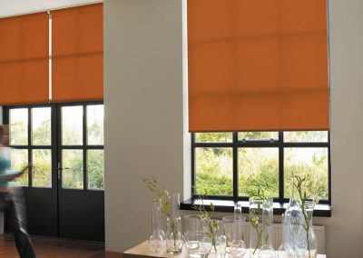 Translucent Roller Blinds from Shutterstyle