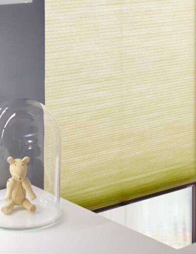 Autumn Edit Duette Blind new collection pale green