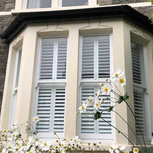 creamy tones and shutters