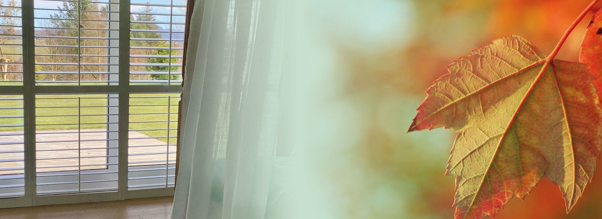 Shutters for Autumn