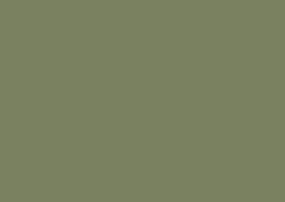 New Range Sage Forest